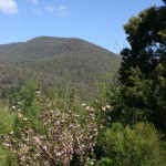 A mountain top view from the cottage